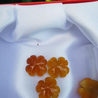 Mặt Bông Hoa cỏ 4 lá màu vàng cam nữ phối vòng tay,làm mặt nhẫn Chất liệu đá cẩm thạch size hạt 14mm x dầy 6mm Nữ về phối với vòng tay của mình đeo hay làm mặt nhẫn mặt dây chuyền đeo xinh ạ
