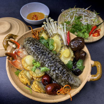 Hộp Quà Hải Sâm Cát Cao Cấp - 14 Con Hải Sâm Sấy Thăng Hoa-Giàu Collage Type 1, Trẻ Hóa Làn Da, Phục Hồi Vết Thương