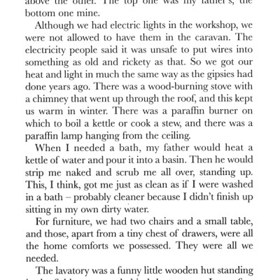 Danny the Champion of the World