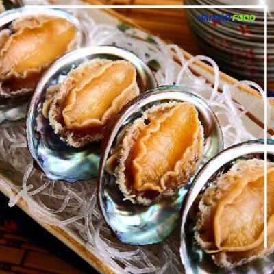 Bào Ngư Thượng Hải Size 15-17 Con/Kg- 1 Kg