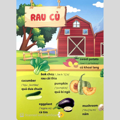 Từ Điển Phát Triển Ngôn Ngữ Bằng Hình Dành Cho Trẻ Mầm Non - Chủ Đề: Phương Tiện Giao Thông + Thành Viên Trong Gia Đình + Trái Cây + Rau Củ