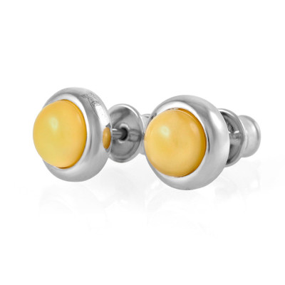 Bông Tai Hổ Phách Baltic Vàng Bơ – Stud