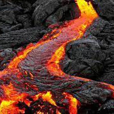 1Kg Vật liệu lọc hồ cá: bông 8D, men vi sinh hồ cá PSB 100ML cao cấp