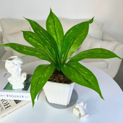 Chậu cây giả để bàn - Cây giả, hoa lụa Decor trang trí nhà cửa, quán cafe