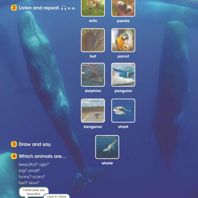 Look 3 Student Book (British English)