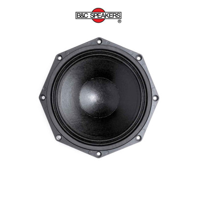 Loa rời 2 tấc từ Neo 8NDL51 B&C Speaker Italia - Hàng Chính Hãng