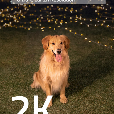 Camera an ninh thông minh Eufy Indoor 2K, tích hợp còi báo động, tương thích Google, Alexa, Homekit, hàng chính hãng phân phối