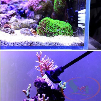 Bàn chải Qanvee MS-3 đầu cọ xoay góc vệ sinh bể rêu tảo bám lũa đá