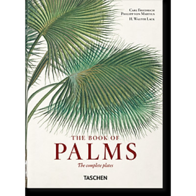 Artbook - Sách Tiếng Anh - Martius. The Book of Palms. 40th Ed.