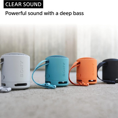 Loa Bluetooth Sony SRS-XB100 - Hàng Chính Hãng