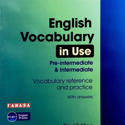 English Vocabulary in Use: Pre-Intermediate and Intermediate Book with Answers: Vocabulary Reference and Practice (Kèm CD)
