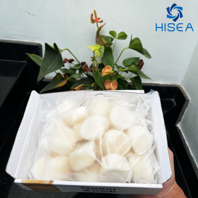 Còi sò điệp Nissi (size: 22 - 26 còi)- 1kg