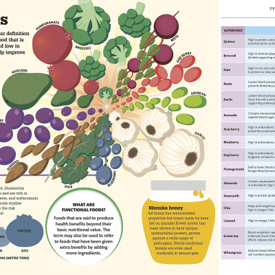 How Food Works: The Facts Visually Explained (How Things Work)