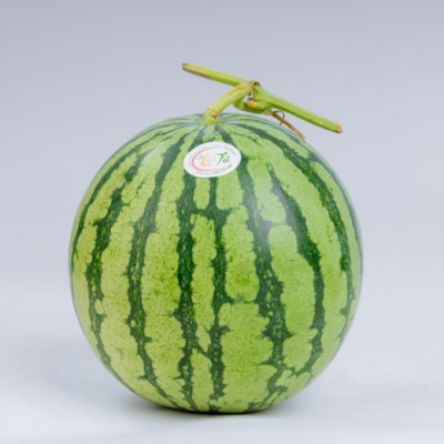 [Chỉ Giao HCM] - Dưa hấu ruột đỏ không hạt (3 - 5 kg/trái)