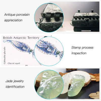 ROGTZ Kính Hiển Vi Phóng Đại 50-1000x Kết Nối Wifi/Có Dây Dùng Cho Điện Thoại, PC Độ Phân Giải 1080P Với 8 Đèn Led Trợ Sáng. WiFi Digital Microscope HD1080P 1000X USB Microscope 8 LED Wireless Portable Electronic Camera for Smartphone - Hàng Chính Hãng