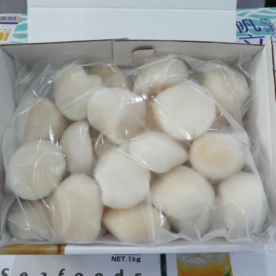 Còi sò điệp Nissi (size: 22 - 26 còi)- 1kg