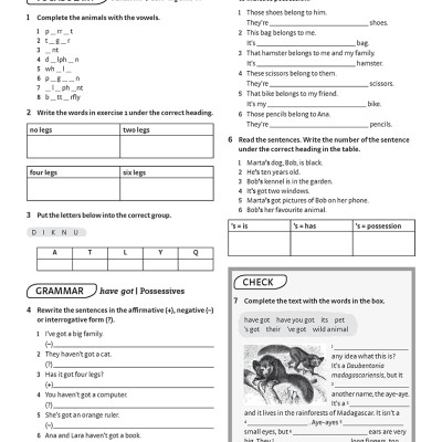 Achievers grade 7 Workbook