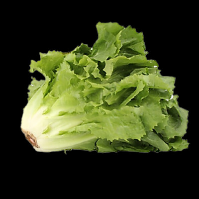 Xà lách Carol 500g