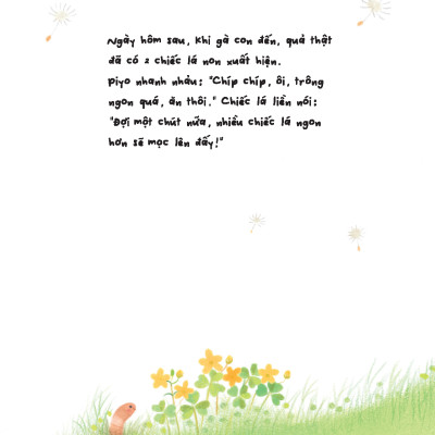 Sách - Gà con và hoa hướng dương