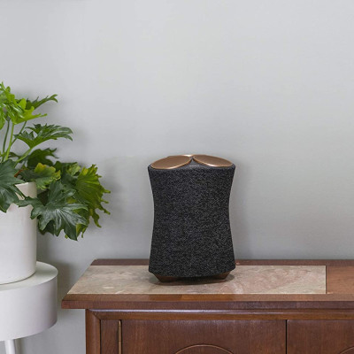 Loa Sony SRS-RA5000 | Âm Thanh Tràn Ngập Phòng | Hàng Chính Hãng