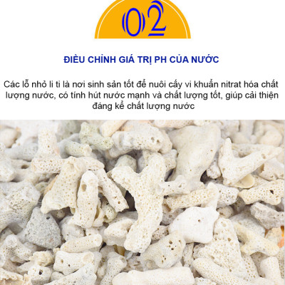 2KG San Hô Vụn vật liệu lọc hồ cá, trang trí bể cá, hồ thủy sinh cao cấp