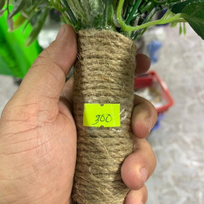 Hoa cưới cô dâu tím