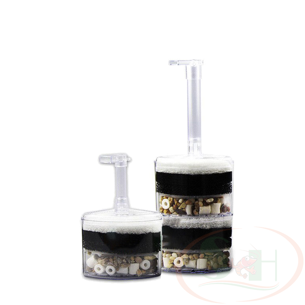 Lọc bio góc Xinyou Corner Sponge Filter lọc vi sinh mini bể cá tép rùa cảnh