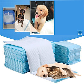 Tã giấy vệ sinh cho chó - dùng lót khay vệ sinh chó hoặc lót chuồng chó