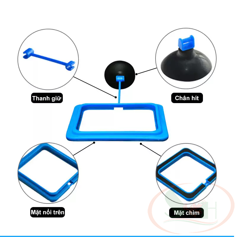 Vòng nổi cho cá ăn Feeding Ring giữ thức ăn cám tầng mặt bể cá thủy sinh