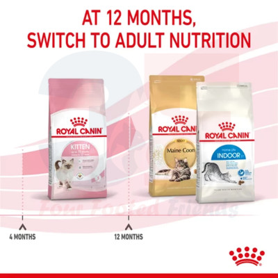 Thức Ăn Cho Mèo Con Từ 4-12 Tháng Tuổi Royal Canin Kitten 36