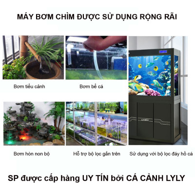 Bơm Hồ Cá BAOYU BY105 50W 4000L/H | Siêu Bền, Tiết Kiệm Điện, BH Uy Tín!