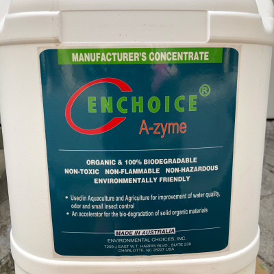 ENCHOICE A-zyme - Xử lý nước trong nuôi trồng thủy sản