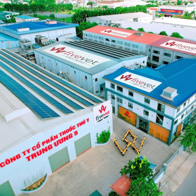 Five-Enrobrom dùng cho hen gà, khẹc vịt, khò khè, sưng phù đầu, bại liệt gà, vịt, ngan, ngỗng.