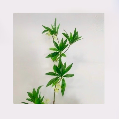 Cây Hoa Thủy Trúc Giả - Cây Thủy Sinh cao 150cm decor phòng khách, phòng bếp, phòng ngủ