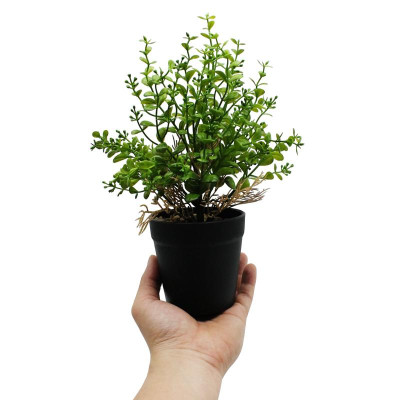 Chậu Cây Nhựa Trang Trí - WanLongDa 769-6
