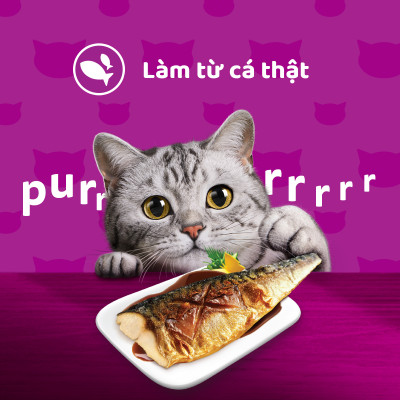 [Combo 12 Gói] Thức Ăn Cho Mèo WHISKAS 1+ years Vị Cá Saba 80g/Gói