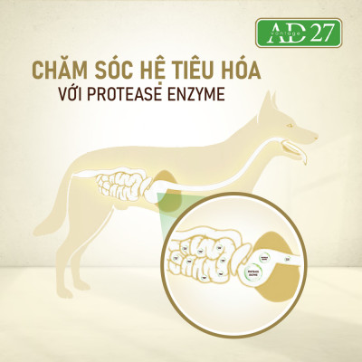 Thức ăn dinh dưỡng dành cho chó ANF AD27 - 1.6KG