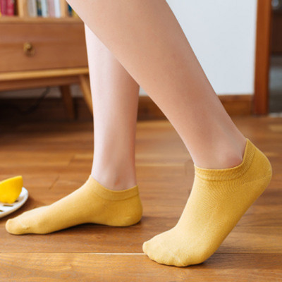 Bộ tất 7 ngày tất vớ theo tuần