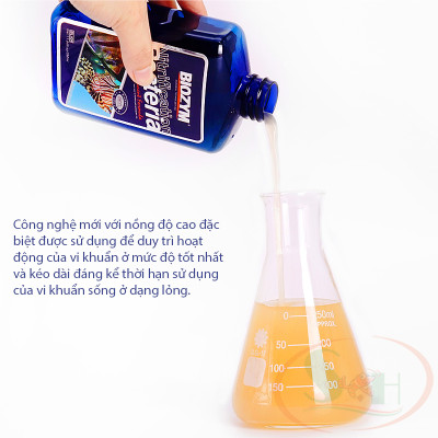 Vi sinh nước Biozym Nitrifying Bacteria đậm đặc xử lý nước bể thủy sinh cá tép cảnh