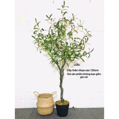 Cây oliu giả - thân gỗ - Size từ 80cm đến 130cm - Cây giả, hoa lụa Decor trang trí nhà cửa