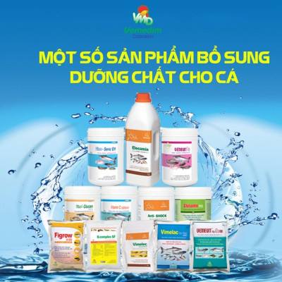 Prozyme for fish new, bổ sung vitamin và enzyme tiêu hóa cho cá, lươn, ốc, hộp 1kg, (Tặng kèm mẫu thử)