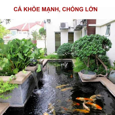 Bông Lọc Bể Cá 8D | 8 Lớp Lọc Nước Siêu Sạch, Hiệu Quả Gấp Đôi