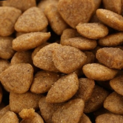 [ 5 KG ] - Thức ăn hạt cho mèo mọi lứa tuổi Catsrang Hàn Quốc