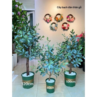 Cây oliu giả - thân gỗ - Size từ 80cm đến 130cm - Cây giả, hoa lụa Decor trang trí nhà cửa