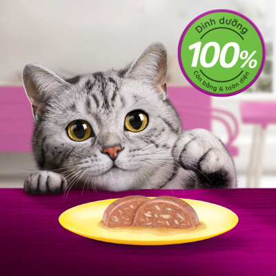 [Combo 12 Gói] Thức Ăn Cho Mèo WHISKAS 1+ years Vị Cá Ngừ, Cá Trắng 80g/Gói