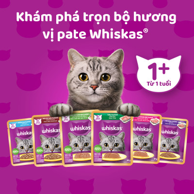 [Combo 12 Gói] Thức Ăn Cho Mèo WHISKAS 1+ years Vị Cá Ngừ, Gà 80g/Gói