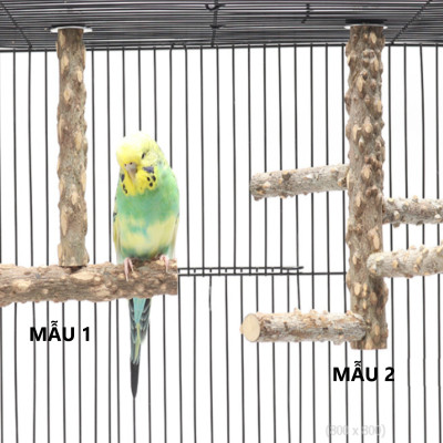 1 CÁI CẦU ĐẬU GỖ GẠO (TREO TRONG LỒNG) CHO CHIM, VẸT ĐỨNG