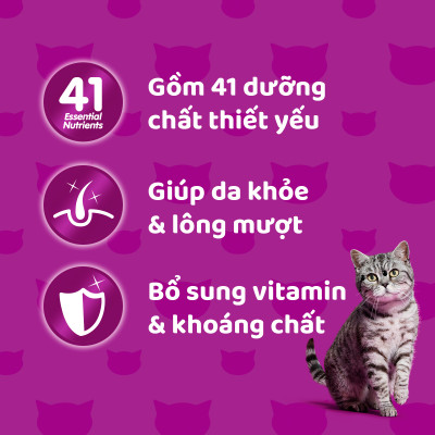 [Combo 12 Gói] Thức Ăn Cho Mèo WHISKAS 1+ years Vị Cá Ngừ 80g/Gói