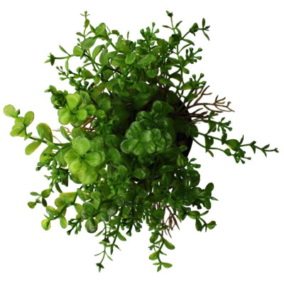 Chậu Cây Nhựa Trang Trí - WanLongDa 769-6