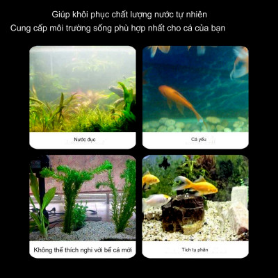 500GR Sứ Lọc Viên Bi Tròn Vàng vật liệu lọc nước hồ bể cá cảnh siêu sạch 